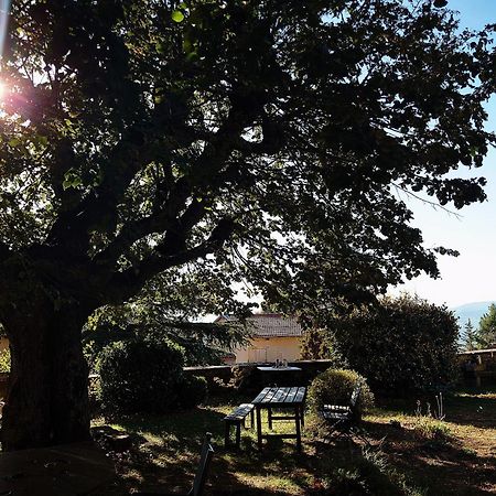 Chateau De Riverie Chambres Et Table D'Hotes Εξωτερικό φωτογραφία